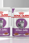 Royal Canin Kitten in Jelly 12 x 85g