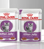 Royal Canin Kitten in Jelly 12 x 85g